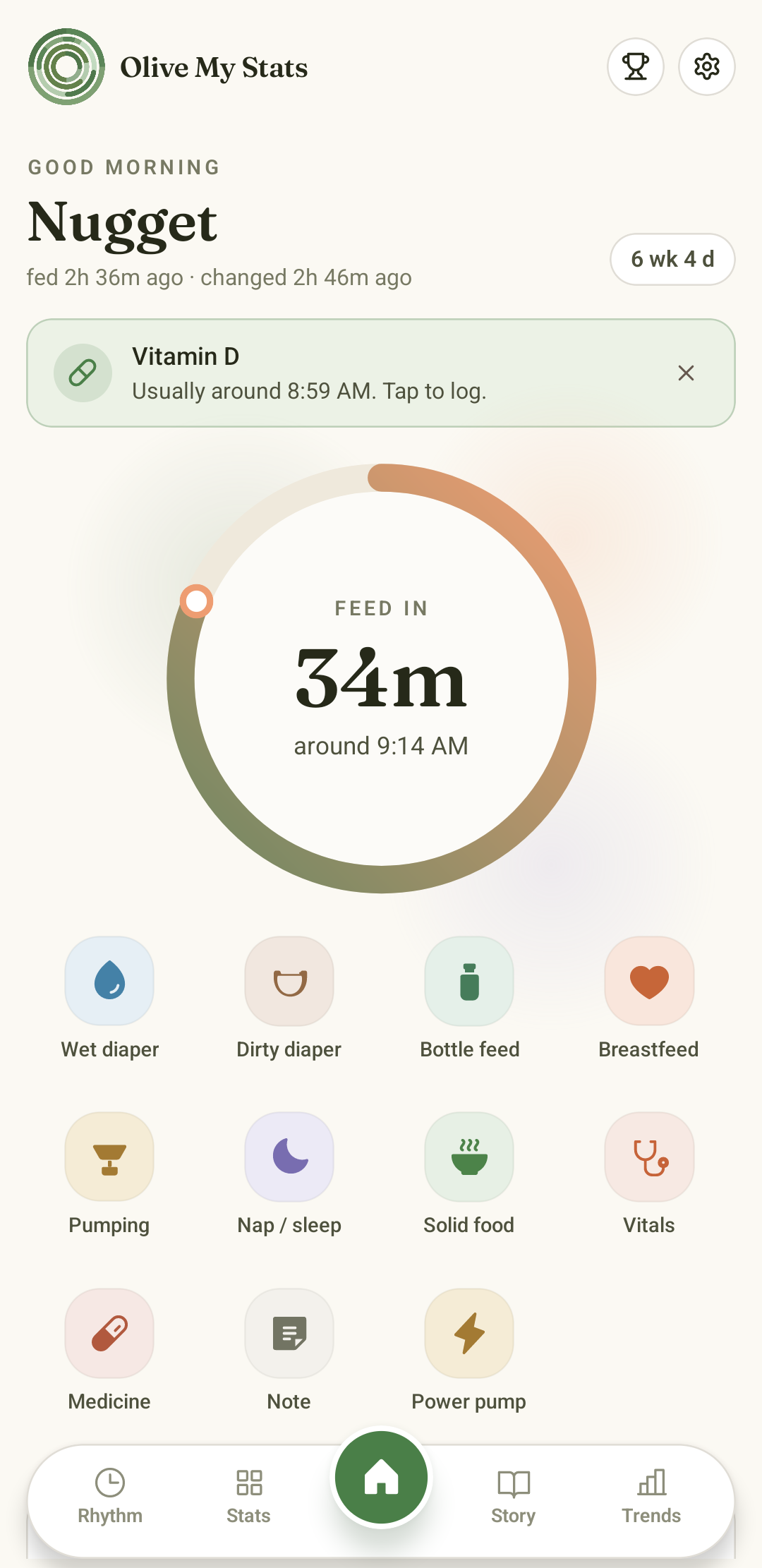 Olive My Stats Home pane