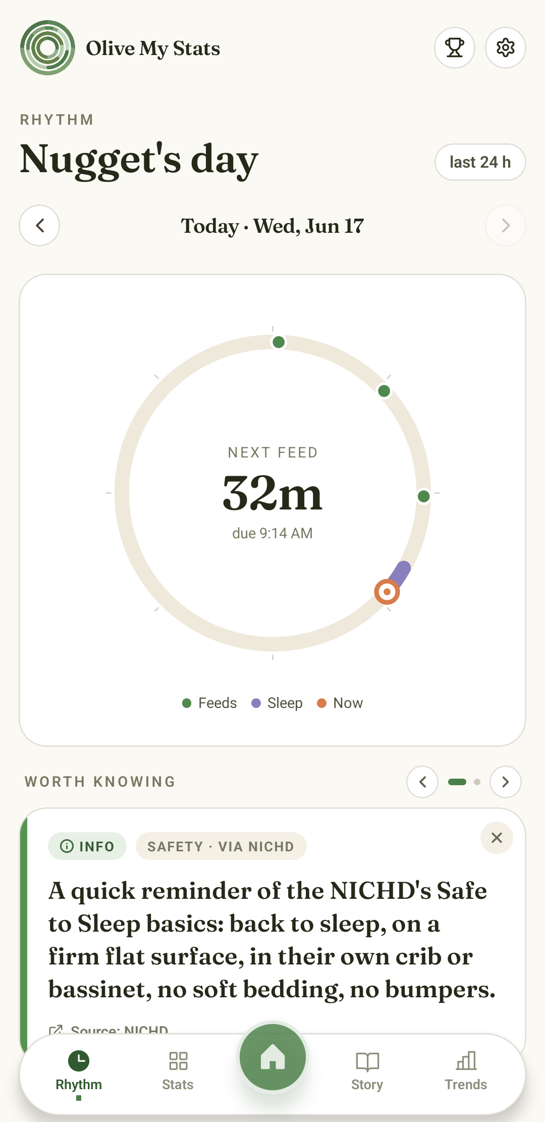 Olive My Stats Rhythm pane